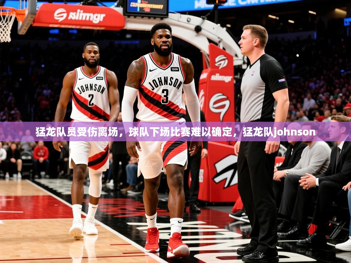 2025华体会体育网站国米赞助商猛龙队员受伤离场，球队下场比赛难以确定，猛龙队johnson