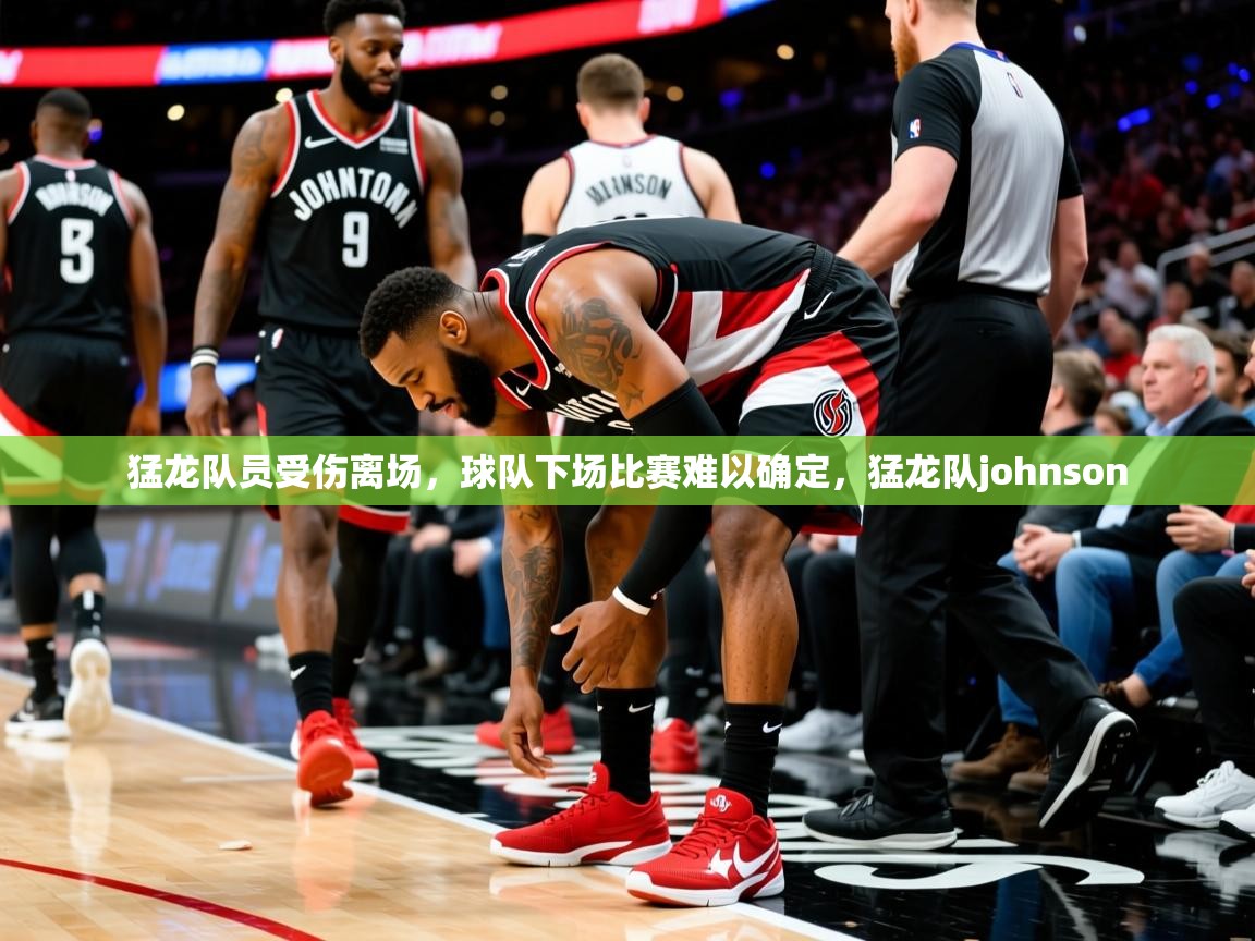 2025华体会体育网站国米赞助商猛龙队员受伤离场,球队下场比赛难以确定,猛龙队johnson 第4张