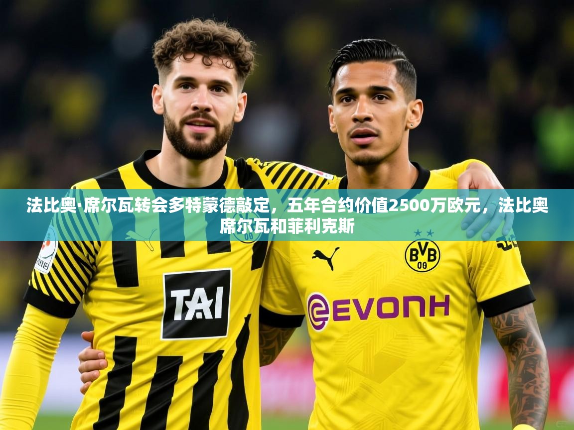 2025华体会登录法比奥·席尔瓦转会多特蒙德敲定，五年合约价值2500万欧元，法比奥席尔瓦和菲利克斯  第1张
