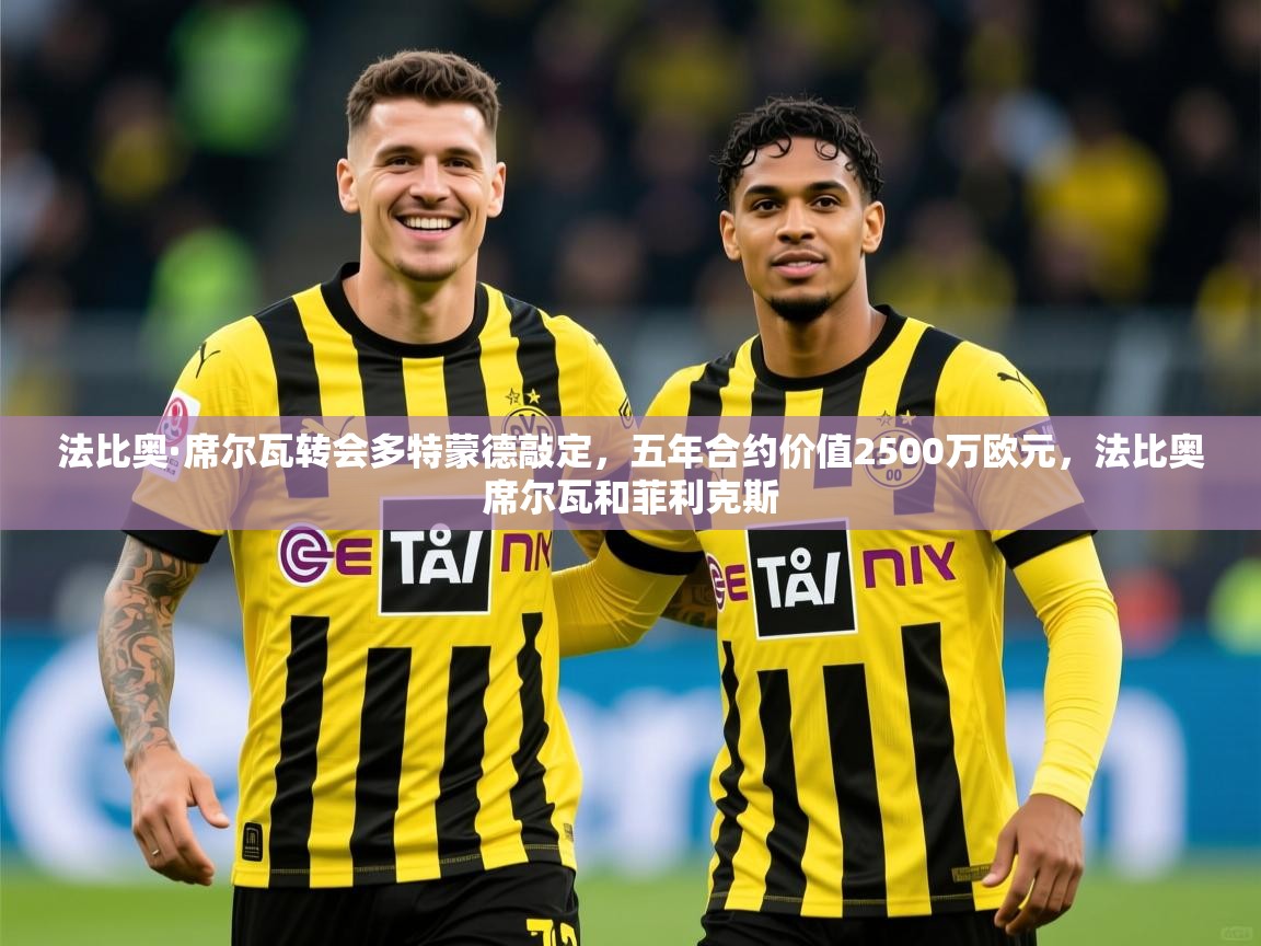 2025华体会登录法比奥·席尔瓦转会多特蒙德敲定，五年合约价值2500万欧元，法比奥席尔瓦和菲利克斯  第3张