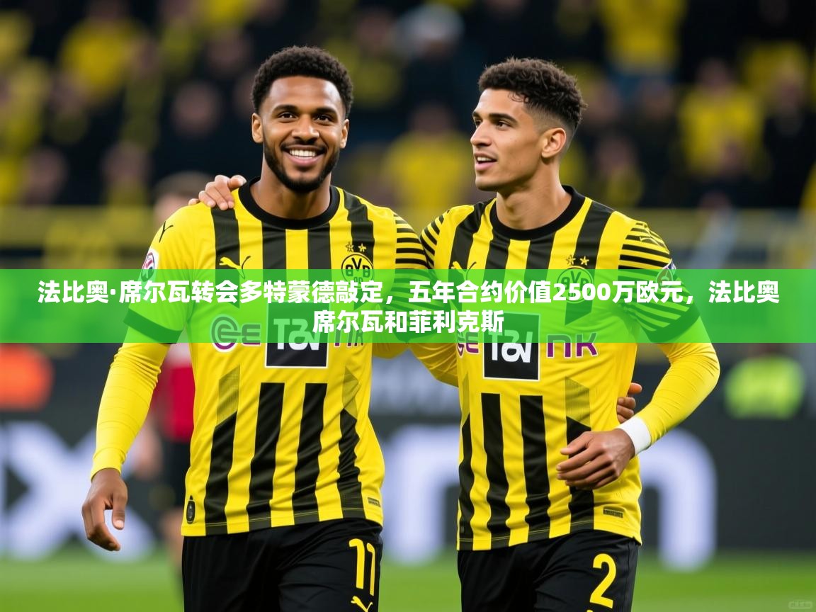 2025华体会登录法比奥·席尔瓦转会多特蒙德敲定，五年合约价值2500万欧元，法比奥席尔瓦和菲利克斯  第4张