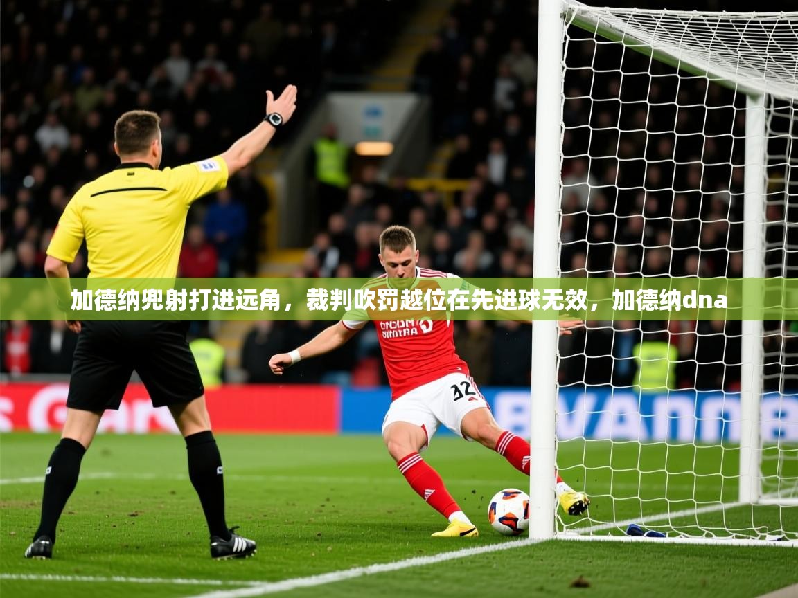 2025华体会登录入口加德纳兜射打进远角，裁判吹罚越位在先进球无效，加德纳dna