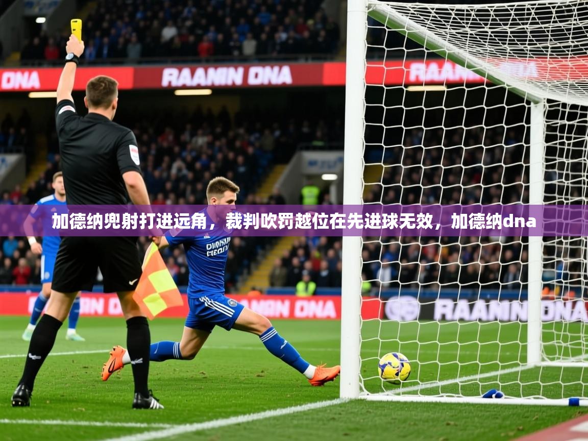 2025华体会登录入口加德纳兜射打进远角，裁判吹罚越位在先进球无效，加德纳dna  第2张