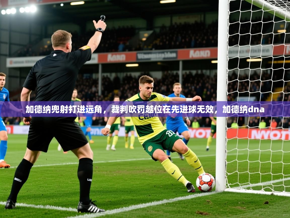 2025华体会登录入口加德纳兜射打进远角，裁判吹罚越位在先进球无效，加德纳dna  第3张