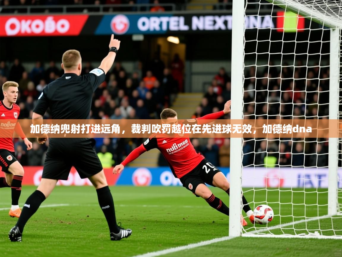 2025华体会登录入口加德纳兜射打进远角，裁判吹罚越位在先进球无效，加德纳dna  第4张