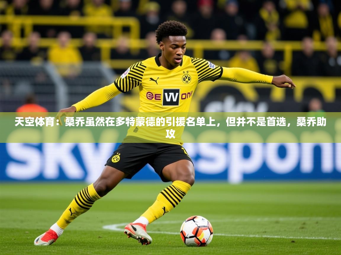 2025华体会体育网站国米赞助商天空体育:桑乔虽然在多特蒙德的引援名单上,但并不是首选,桑乔助攻 第1张