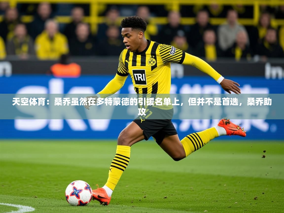 2025华体会体育网站国米赞助商天空体育:桑乔虽然在多特蒙德的引援名单上,但并不是首选,桑乔助攻 第2张