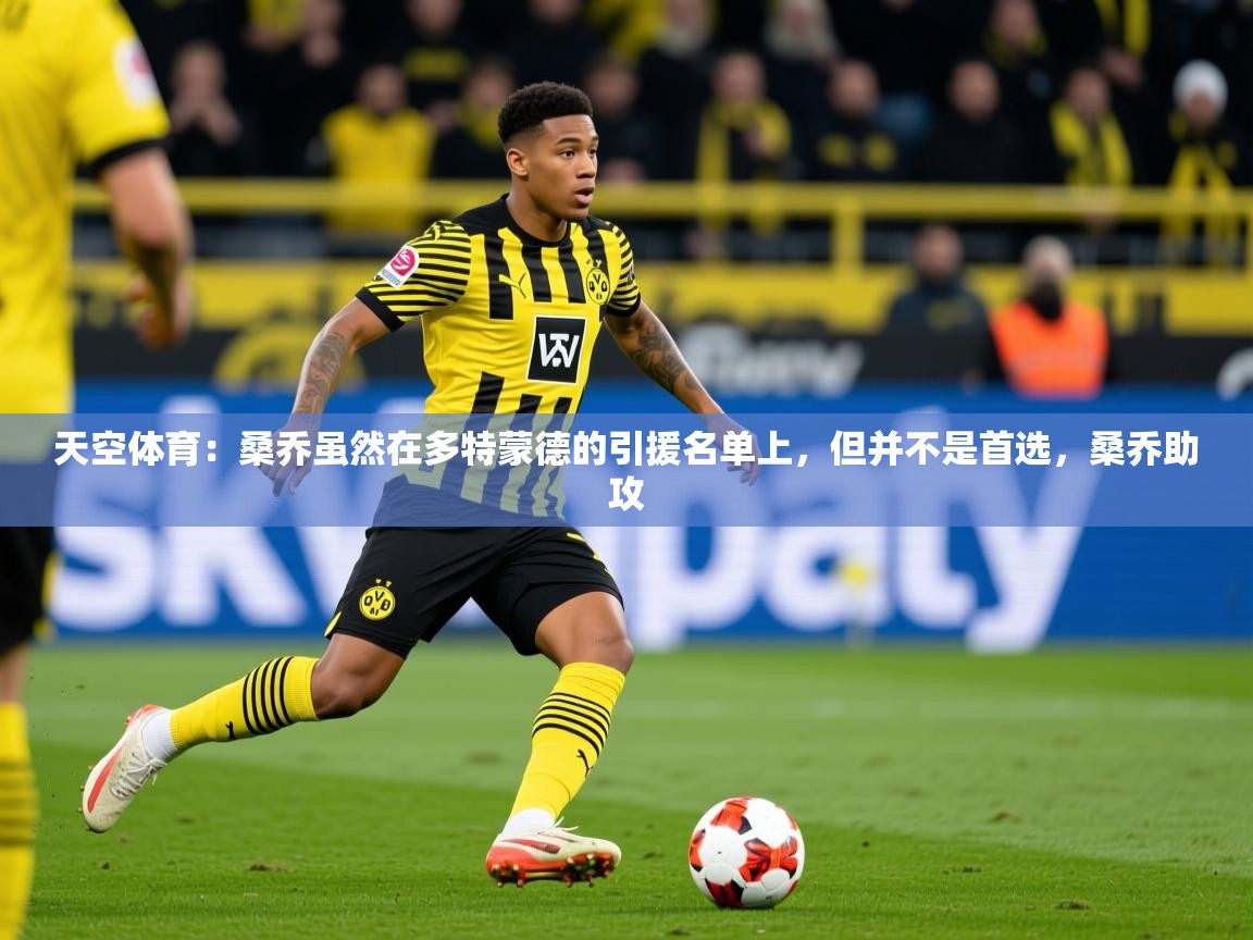 2025华体会体育网站国米赞助商天空体育:桑乔虽然在多特蒙德的引援名单上,但并不是首选,桑乔助攻 第3张