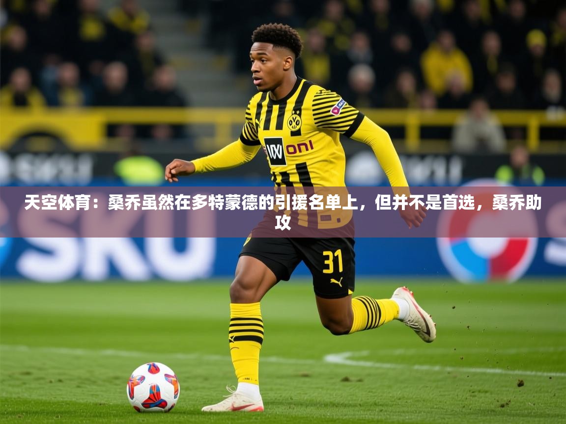 2025华体会体育网站国米赞助商天空体育:桑乔虽然在多特蒙德的引援名单上,但并不是首选,桑乔助攻 第4张