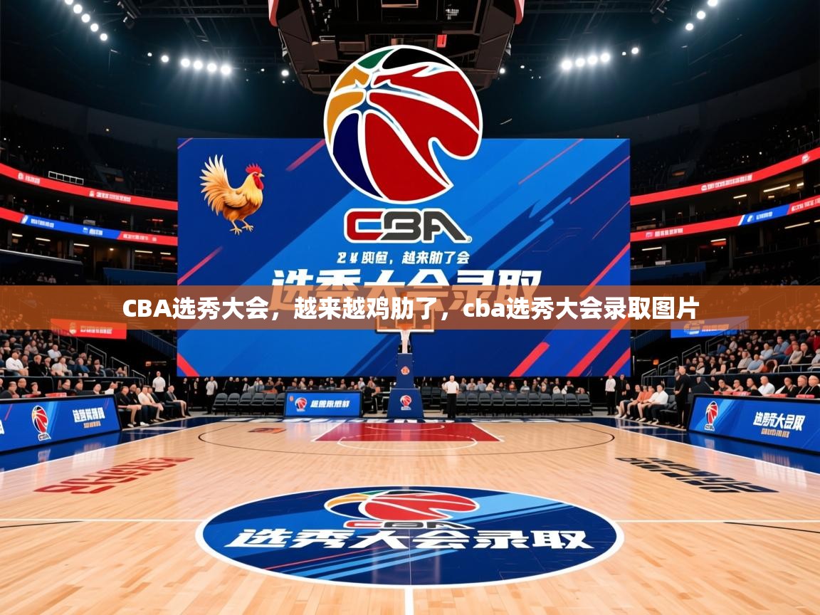 2025华体会体育CBA选秀大会，越来越鸡肋了，cba选秀大会录取图片