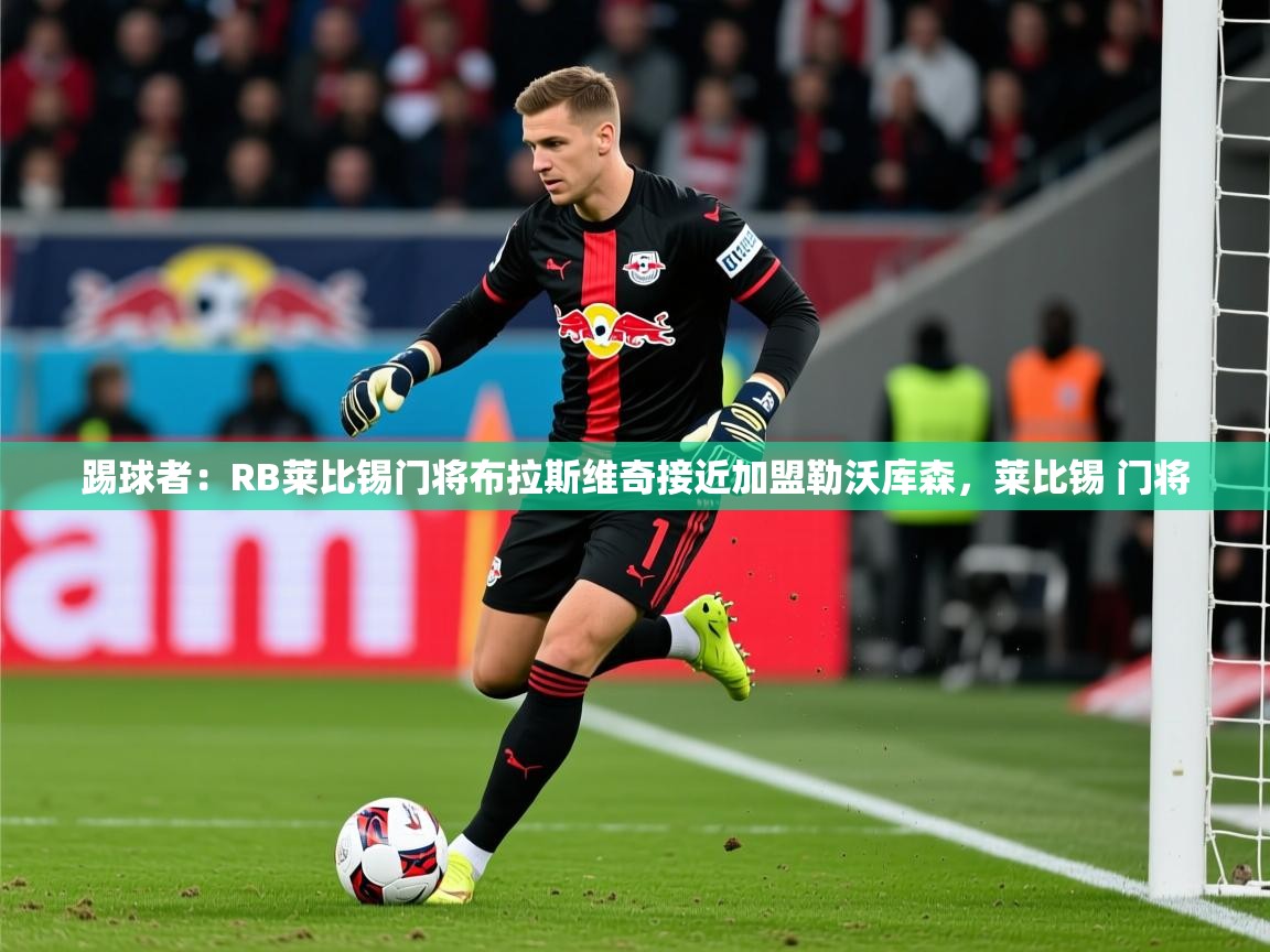 2025华体体育官网踢球者：RB莱比锡门将布拉斯维奇接近加盟勒沃库森，莱比锡 门将  第1张