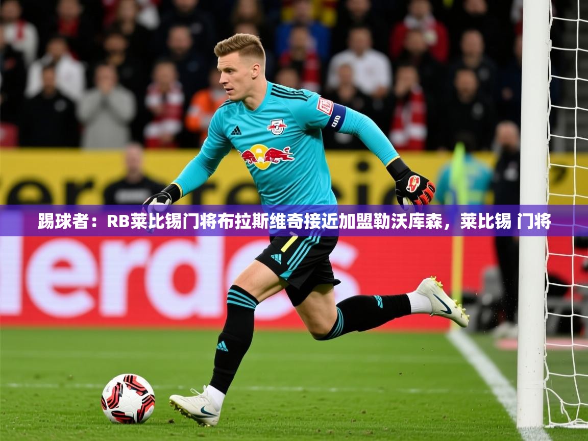 2025华体体育官网踢球者：RB莱比锡门将布拉斯维奇接近加盟勒沃库森，莱比锡 门将  第3张