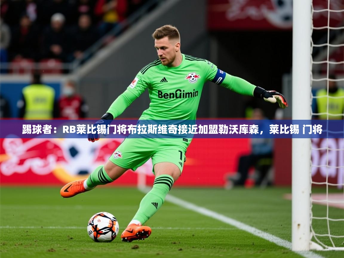 2025华体体育官网踢球者：RB莱比锡门将布拉斯维奇接近加盟勒沃库森，莱比锡 门将  第4张