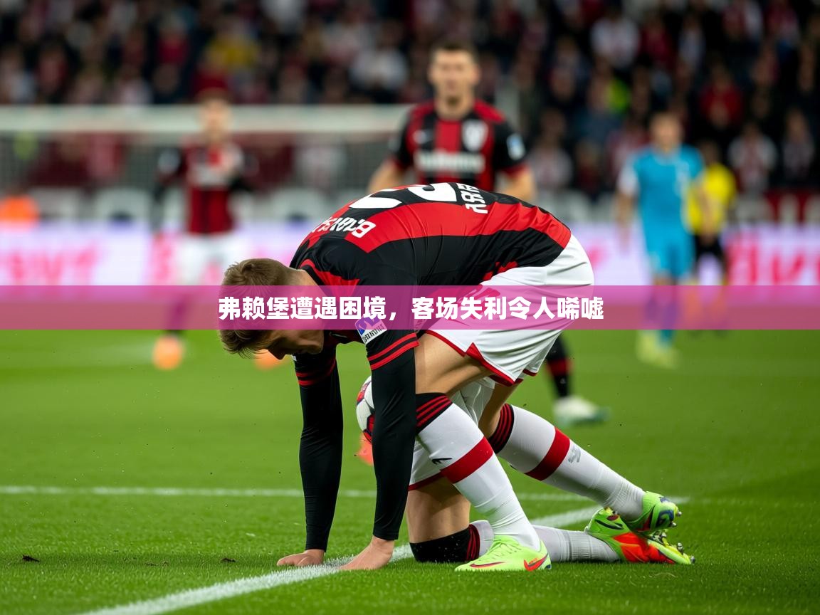 2026华体会体育平台靠谱吗弗赖堡遭遇困境，客场失利令人唏嘘  第3张