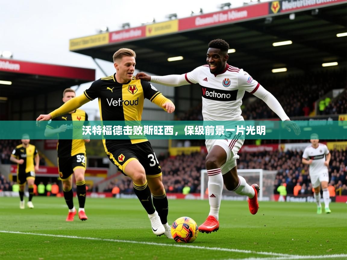 2026华体会体育app沃特福德击败斯旺西，保级前景一片光明