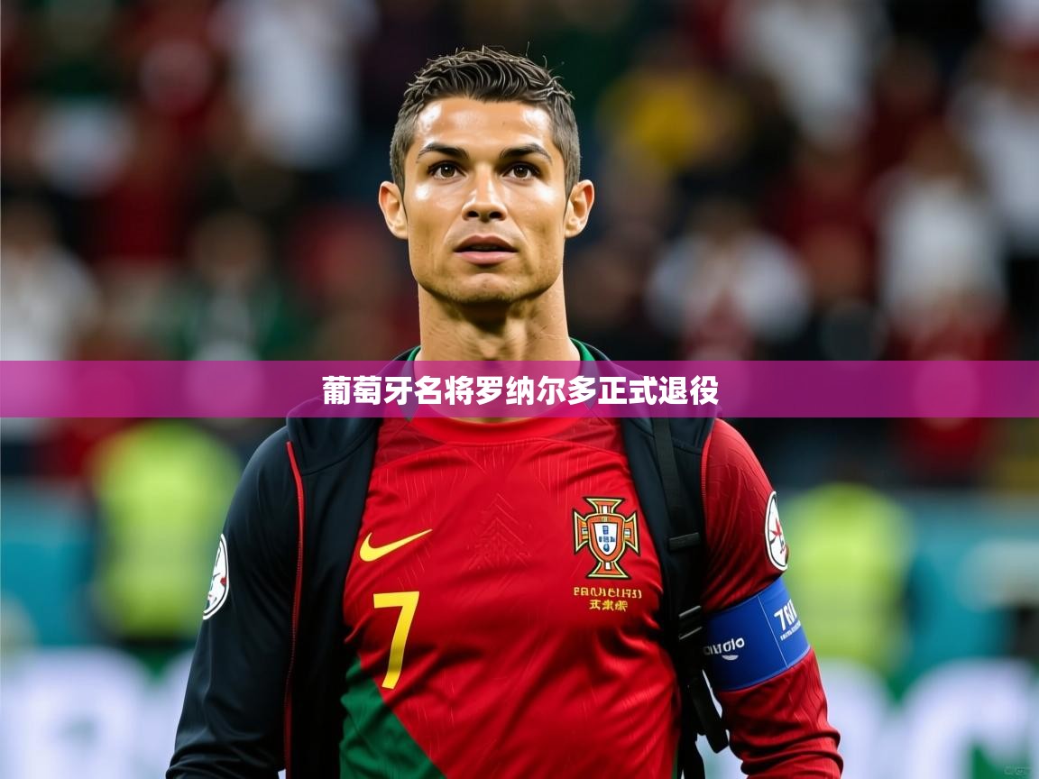 2026华体会登录首页葡萄牙名将罗纳尔多正式退役 第2张